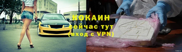 мдпв Богданович